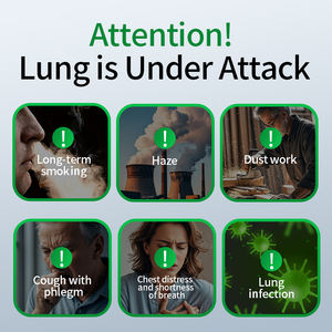 DHOP Biologisch Mulleinblad Vloeibaar Extract met Zoethout & Astragalus - 1200mg Kruidenmengsel voor Long- & Immuun Gezondheid - Product Image 2