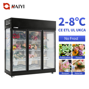 Refrigerador Comercial para Flores con Puerta de Vidrio, Enfriador Vertical para Exhibición de Flores, Refrigerador para Floristería - Product Image 2
