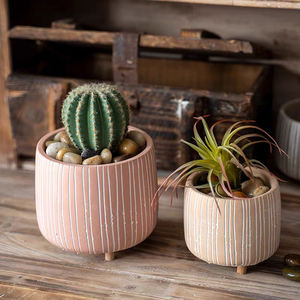 <span class=keywords><strong>Macetas</strong></span> y jardineras <span class=keywords><strong>de</strong></span> hormigón mate pequeñas nórdicas <span class=keywords><strong>de</strong></span> tamaños personalizados <span class=keywords><strong>de</strong></span> varios colores, mini maceta <span class=keywords><strong>de</strong></span> <span class=keywords><strong>cemento</strong></span> <span class=keywords><strong>de</strong></span> cactus <span class=keywords><strong>con</strong></span> <span class=keywords><strong>patas</strong></span> <span class=keywords><strong>de</strong></span> <span class=keywords><strong>madera</strong></span> - Product Image 4