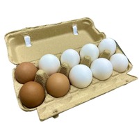 Precio Competitivo, Calidad Superior, Cartón Rectangular de Papel Reciclado Personalizado para 10 Huevos, Empaque de Alimentos, Nueva Llegada