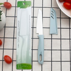 Stainless Steel Fruit Knife with Plastic Handle Portable Card Packaging Kitchen <b>Tool</b> for Household Use 2 Yuan Store Product - Product Image 2