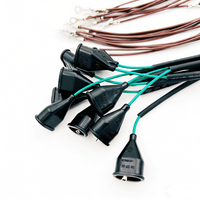 Arnés de cableado para portalámparas de coche personalizado con conector moldeado y cables terminales