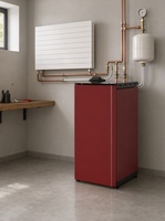 Chaudière à granulés de bois 24 kW pour chauffage et eau chaude sanitaire, automatique, haute efficacité, pour système central de maison familiale