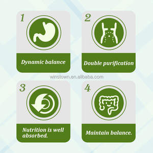 Té desintoxicante orgánico para el colon de marca privada, 20 sobres por caja, fábrica Winstown, té chino limpiador, el mejor té limpiador de colon - Product Image 4