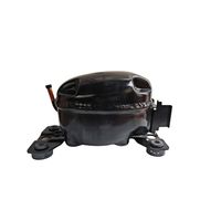 Compresseur rotatif GMCC DE20M1P 2HP R410A pour climatiseur mini-split/multi-split 3kg