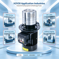 Pompe centrifuge verticale multi-étages en acier inoxydable H2V30 480W 220V/380V, pompe à liquide de refroidissement industrielle pour machine-outil CNC