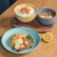 Assiettes de Dîner en Plastique de Paille de Blé Réutilisables Sans BPA pour Restaurants et Fêtes, Vente en Gros