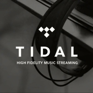 บัญชีสมาชิก Tidal Premium Music HiFi Plus แบบ 12 เดือน มีสินค้าพร้อมส่ง - Product Image 3