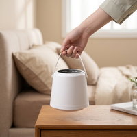 Humidificateur d'air portable de bureau en forme de lune, petit humidificateur d'aromathérapie LED pour chambre à coucher, avec buse décorative, mini humidificateur USB portable pour la maison