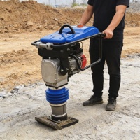Compacteur à plaque vibrante à essence Gx160 certifié CE et EPA, prix usine, corps entièrement en aluminium