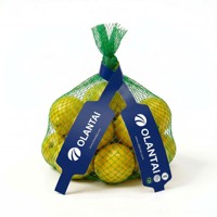 Vente en gros usine : Rouleau d'étiquettes en plastique pour fruits, forme haltère et nœud papillon, avec logo personnalisé, pour sacs filets à fruits