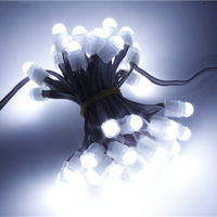 Miracle Bean SMD Pixel LED Monochrome Étanche IP67 9mm 12V