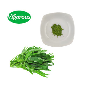 Tinh khiết tự nhiên khô nước rau bina nước trái cây bột Ipomoea aquatica forssk chiết xuất - Product Image 3