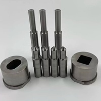 Poinçon de découpe sur mesure SPAL APJAL SJAL11, poinçon composé SKH51, poinçon dénudeur de forme spéciale, outil de poinçonnage pour plaques épaisses
