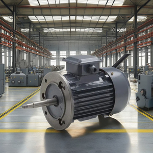 Moteur asynchrone triphasé Y2 IE1 à boîtier en fonte 30 KW 40HP 230V 60Hz haute efficacité entièrement fermé sur pieds - Product Image 4