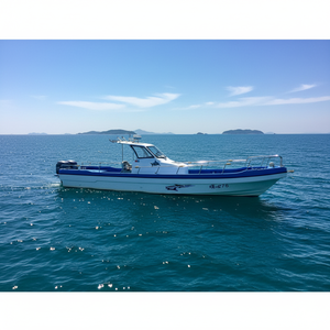 Grandsea -950 Nouveau <span class=keywords><strong>bateau</strong></span> de pêche en fibre de verre blanc de 9,5 m à essence/pétrole avec 1 an de garantie - Product Image 5