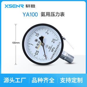 ซูโจว ซวนเฉิง YA100 เกจวัดแรงดัน 2.5Mpa สำหรับแอมโมเนีย ใช้การเชื่อมต่อแบบเกลียว เส้นผ่านศูนย์กลาง 100 มม. - Product Image 2