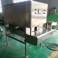 Machine à éplucher les pommes électriques industrielles Machine à dénoyauter les fruits, les prunes et les abricots