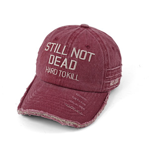 Cappellino da baseball vintage da uomo in cotone 100% lavato, con strisce e buchi, regolabile, modello Cross-border Washed Rap STILL NOT - Product Image 2