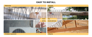 Hot Sales Customized <strong>Stainless</strong> <strong>Steel</strong> <strong>Bird</strong> Deterrent <strong>Spikes</strong> Anti-<strong>Bird</strong> Peat Control <strong>Spikes</strong> Solid State Squirrel Pest repellent - Product Image 4