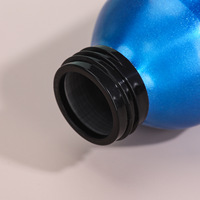 Bouteille d'eau sportive grande capacité en aluminium, style américain, à couche unique, avec sangle de transport, idéale pour la randonnée, pour hommes et femmes