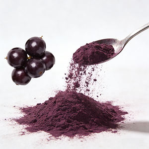 Özel Marka Gıda Sınıfı Bitkisel Ekstrakt Doğal Dondurarak Kurutulmuş Acai Meyve Tozu Brezilya Acai Meyvesi Şişe Varil Ambalaj (OEM/ODM) - Product Image 1