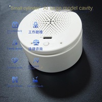 Dispositifs intelligents domestiques DeepSeek Smart AI Audio Model Tanabata Spectrum Spark Wen Xin Yyan Zhi avec batterie lithium intégrée de 600 mAh, sans application
