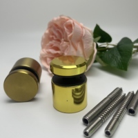 Kit de vis de fixation pour balustrade en verre d'arcade, avec entretoises en verre couleur or champagne à finition réfléchissante et entretoises noires avec vis à tête fraisée