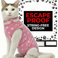 HIPHOPPET Combinaison de récupération post-chirurgicale pour chats et chiens, pliable, en nylon, anti-morsure, soutien des plaies abdominales, design moderne, style sportif