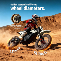Sepeda Motor Listrik Ban Gemuk 2 Roda Off-road Harga Bagus 3000W Jarak Jauh untuk Jalan Kasar
