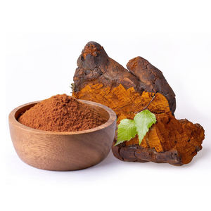 Органический экстракт гриба чаги, цена, порошок экстракта гриба чаги - Product Image 2