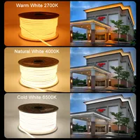Cob Led Strip Light 110V Driverless Ip65 IP67 Outdoor Waterproof Dot Free Flexible Cob Led Strip 220v