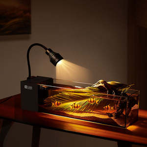 Vente en gros - Kit d'<span class=keywords><strong>aquarium</strong></span> pour betta en verre ultra-clair à faible teneur en fer de 20 gallons - Décoration de bureau pour <span class=keywords><strong>aquarium</strong></span> avec pompe à eau et éclairage LED - Product Image 6