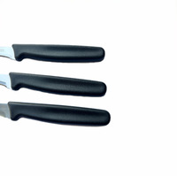 Couteau éplucheur de melon de fruits écologique avec manche en plastique en acier inoxydable avec design courbé pour usage domestique dans la cuisine