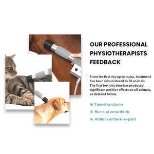 डबल शॉक वेव थेरेपी डिवाइस पशु चिकित्सा फिजियोथेरेपी क्लीनिकों के लिए उन्नत शॉक वेव उपकरण - Product Image 3