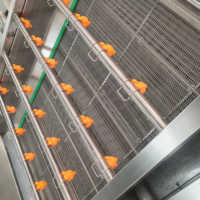 Luchtbelwasmachine / Watercirculatie groentewasmachine / Fruitwasmachine