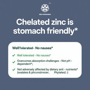 OEM chelato integratore di zinco per adulti supporto sintesi del collagene migliorare l'attività enzimatica compresse complesse bisglicinato - Product Image 6