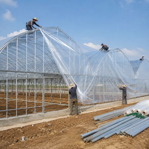 Structure de serre en film multi-spans personnalisée pour la culture moderne de légumes, les pépinières et l'agriculture en environnement contrôlé - Product Image 1