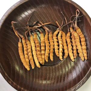 Органическая полудикая Кордицепс Синенсис, продукты для здоровья, червячная трава - Product Image 6