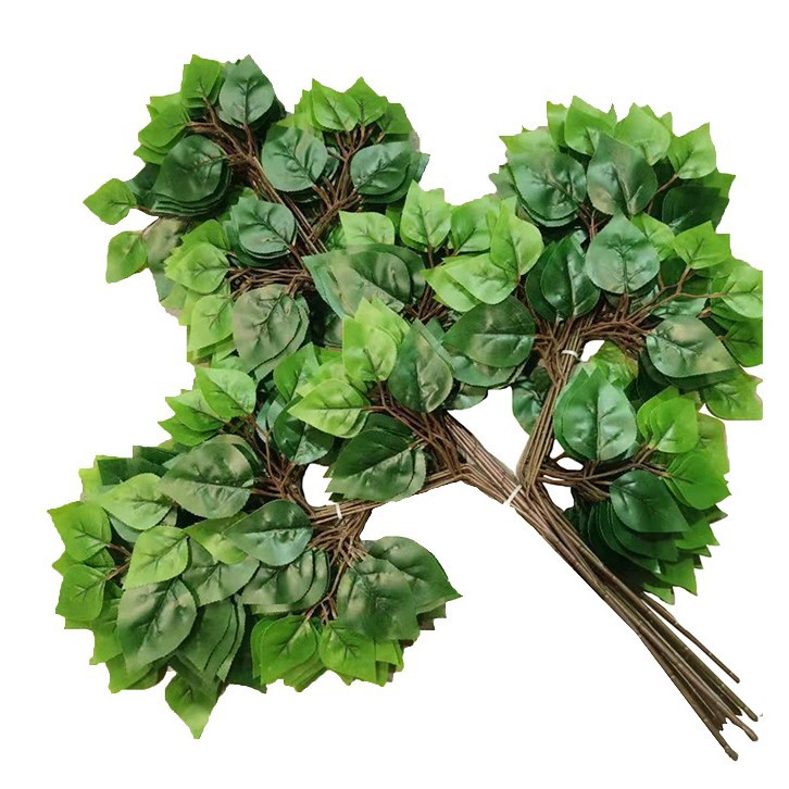 green birch branch