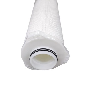 Filtro plisado PES de seguridad 5 pulgadas-40 pulgadas Cartucho de filtro PES de 0,22 micras de alta eficiencia para limpieza de sustratos - Product Image 5