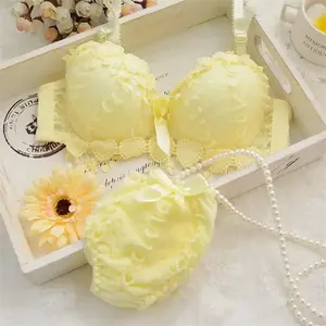 2023 Nova Calcinha De Sutiã De Renda Define Meninas Adoráveis Bonito Japonês Underwire Push Up Lace Bordado Sutiã e breves Conjuntos para As Mulheres