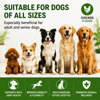Complément alimentaire pour la santé canine, comprimés pour le soutien des articulations des chiens, glucosamine chondroïtine pour l'arthrite de la hanche, soulagement de la mobilité