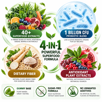 Gummies Super Greens OEM ODM, Mélange de Superaliments Probiotiques et Fibres, Compléments Alimentaires Quotidiens à Base de Plantes, Fournisseur d'Usine en Marque Blanche
