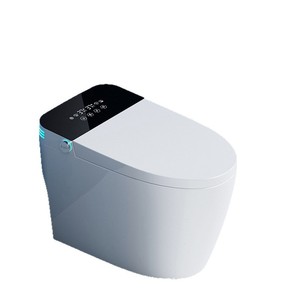Bestseller del Sud-Est Asiatico: <span class=keywords><strong>WC</strong></span> Intelligente in Acciaio Inox Tutto-in-Uno, Modello Domestico con Telecomando, <span class=keywords><strong>Coperchio</strong></span> Automatico Senza Acqua - Product Image 1