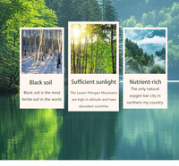 [Livraison Express Gratuite] Boissons Nutritionnelles Concentrées à Base de Sève de Bouleau Blanche, Faible en Gras, Source Pure, Qualité Fabricant