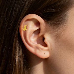 Piercing d'oreille en titane en forme d'animal, alliage de titane G23, filetage interne, bijoux de mode unisexe - Product Image 2
