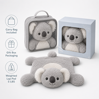 Coussin lesté Koala pour enfants 45x50cm 5lbs en peluche sensoriel avec billes de verre pour la calme et la concentration OEM ODM Vente en gros
