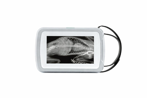 Harga Peralatan <span class=keywords><strong>X-Ray</strong></span> Digital Veteriner Portabel, Peralatan <span class=keywords><strong>X-Ray</strong></span> Mobile, Mesin <span class=keywords><strong>X-Ray</strong></span> Mini Portabel, Detektor Panel Datar Opsional - Product Image 4