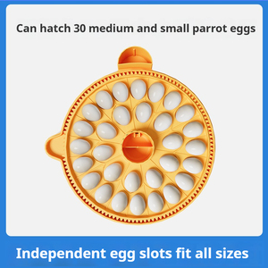 Vẹt Pro 12 lồng ấp với màn hình LCD điều khiển thông minh màn hình tinh thể lỏng và cung cấp không khí xoắn ốc 360 ° - Product Image 5